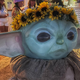 Grogu wears a flower crown at Coachella.
